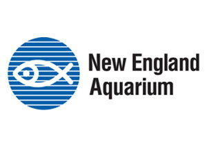 New England aquarium